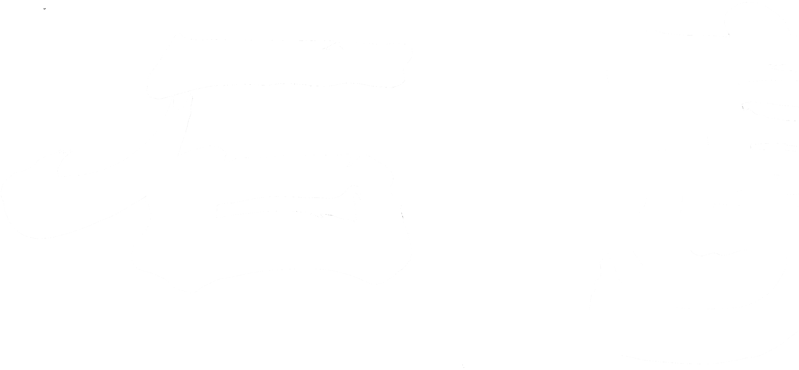 老神温泉　石亭